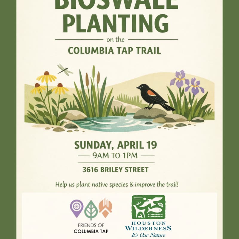 Cover Image for Bioswale Planting