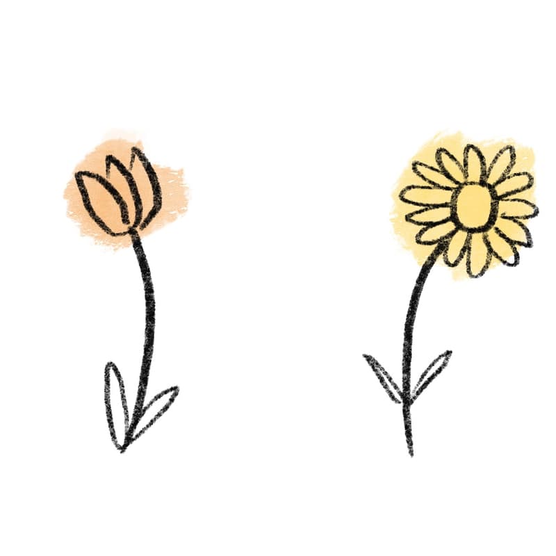Cover Image for New Seeds: A Workshop About Transition