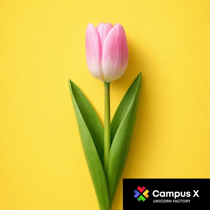 Cover Image for A Small Celebration for the Women of Campus X