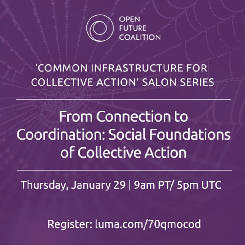 Cover Image for From Connection to Coordination: Social Foundations of Collective Action