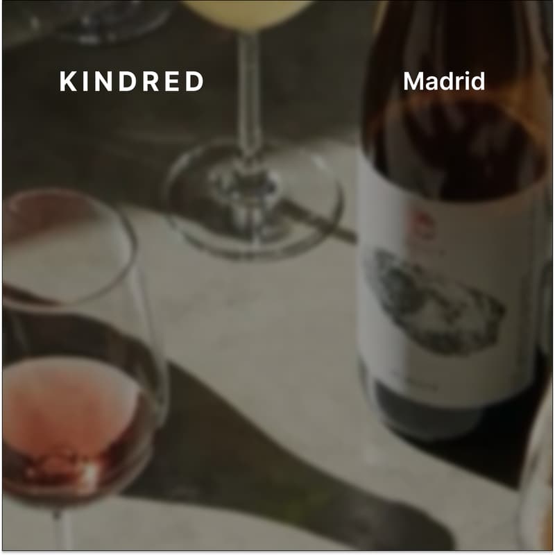 Cover Image for Kindred Madrid: Grapes & Connect