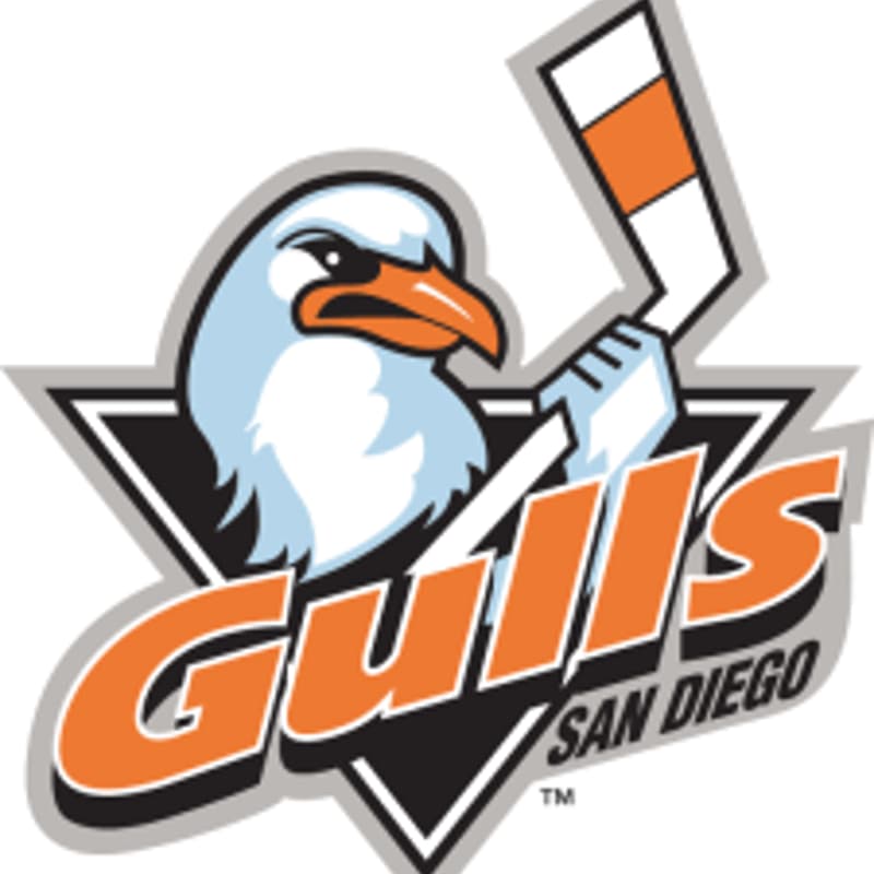 Cover Image for SD ISSA - Gulls Hockey Outing (Members Only Event)