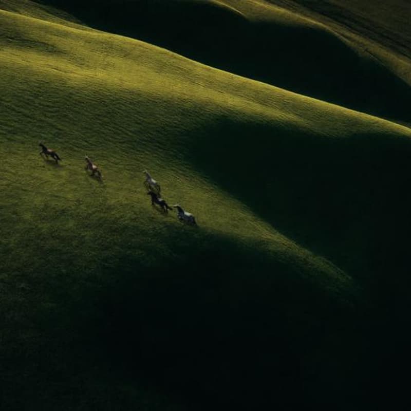 Cover Image for BAG Ventures Informational Session