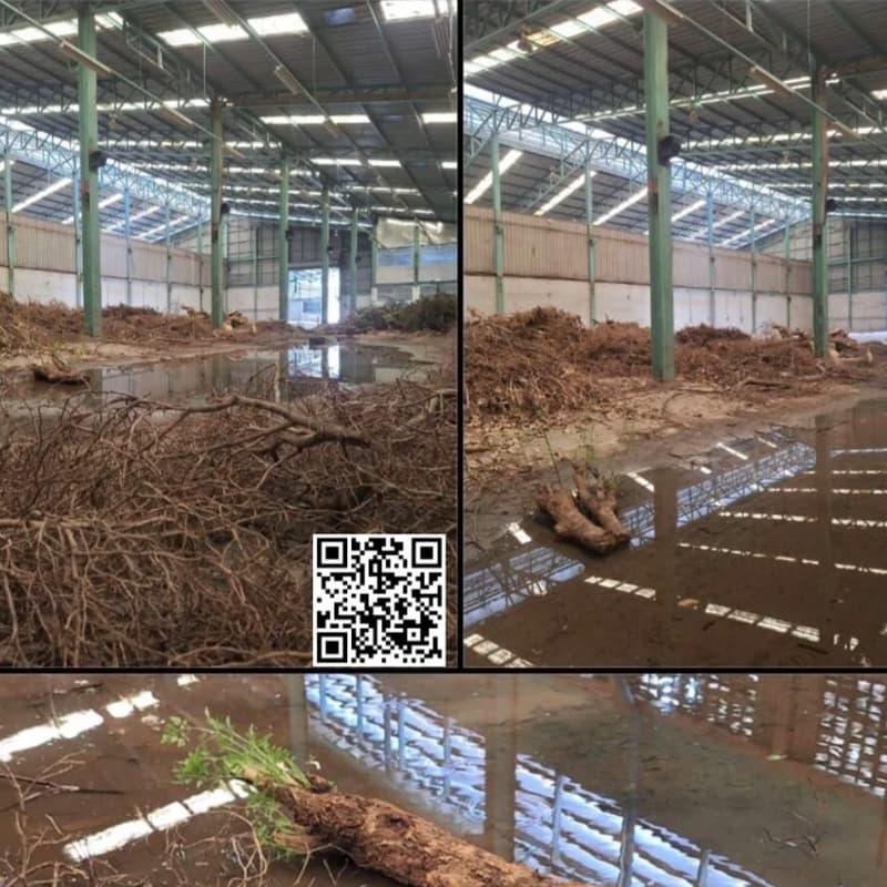 Cover Image for Revive & Resilience | ชุบชีวิต ล้มแล้วลุกได้