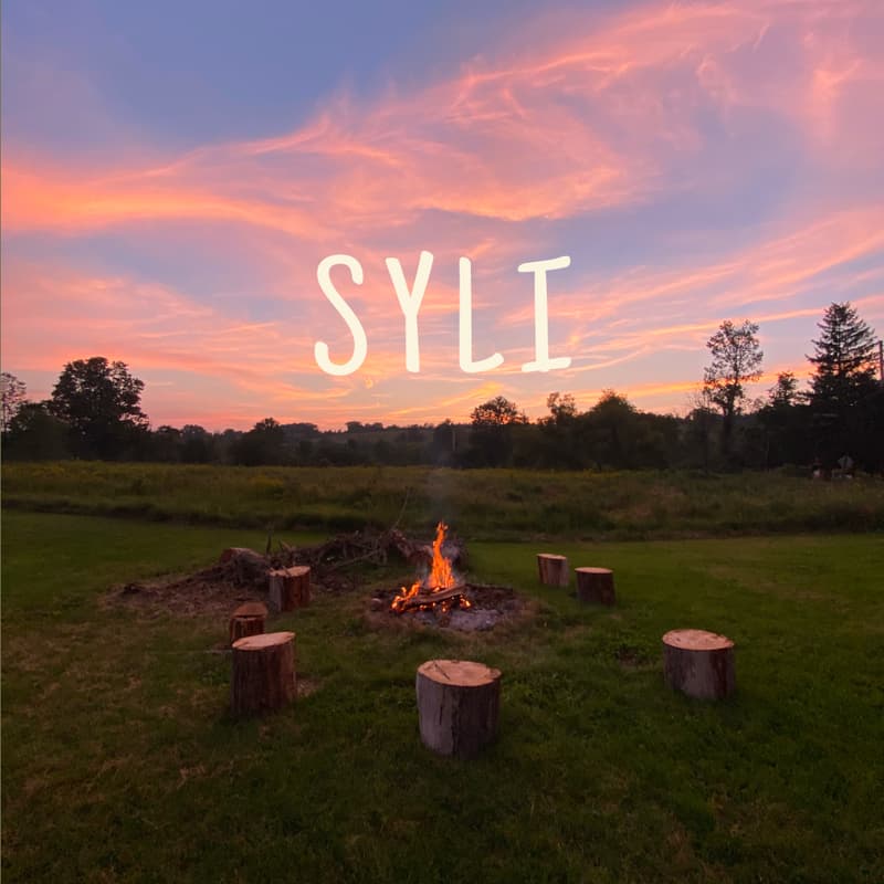 Cover Image for SYLI Circle