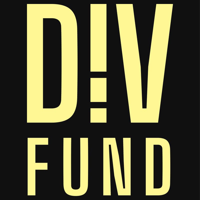Cover Image for The DIV Fund: Evidence-Driven Innovation from Pilot to Scale