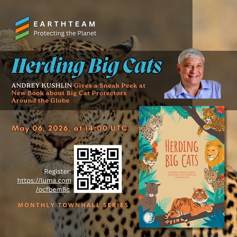 Cover Image for Herding Big Cats