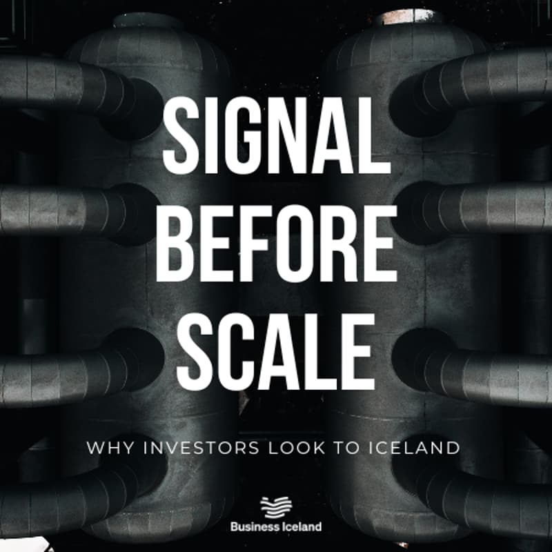 Cover Image for Signal before scale: Why investors look to Iceland 🇮🇸