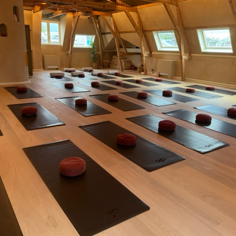 Cover Image for Healing Sound Bath with ALO & De Roos