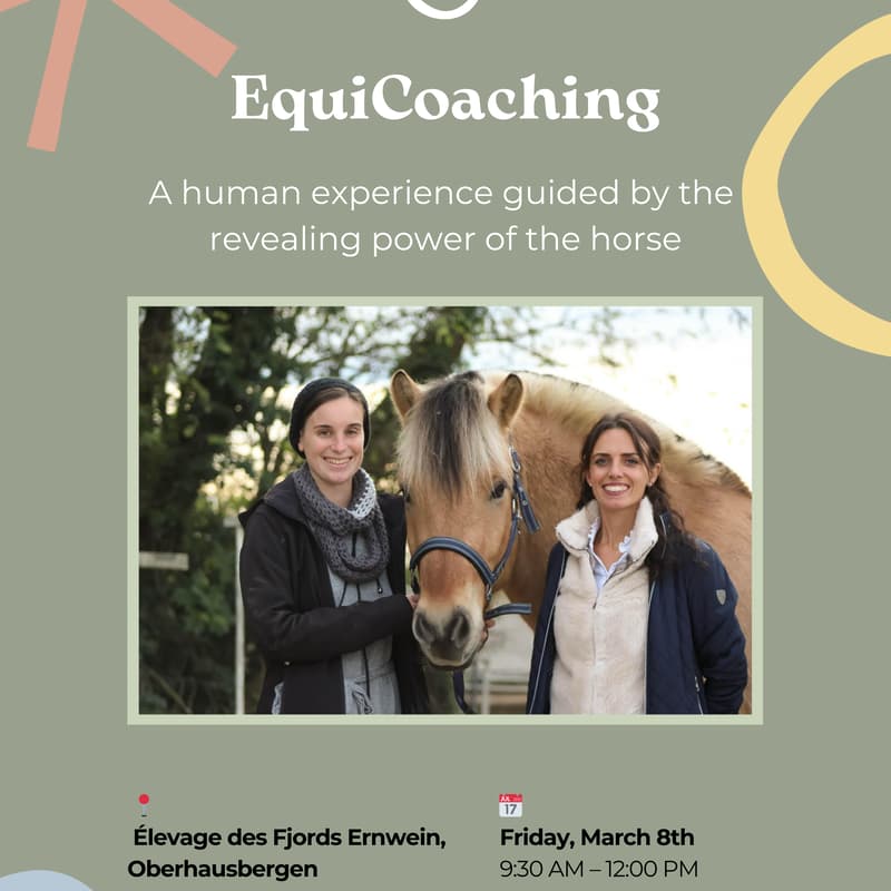 Cover Image for EquiCoaching- A human experience guided by the revealing power of the horse