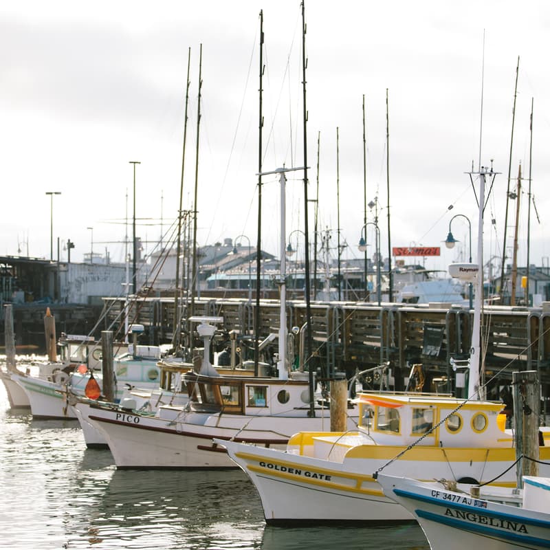 Cover Image for Fisherman's Wharf Forward Community Meeting