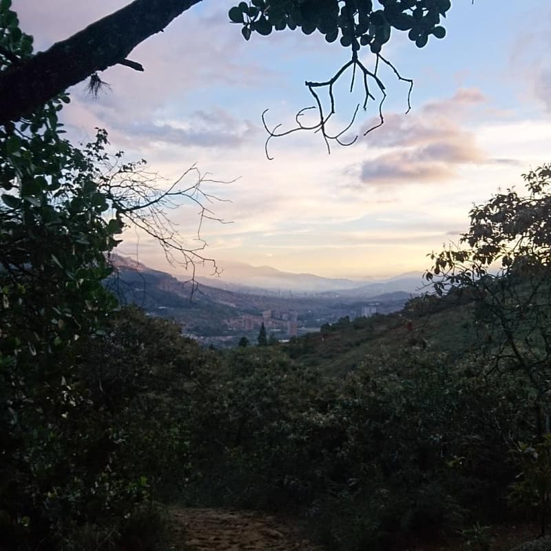 Cover Image for Niquía a Corrales