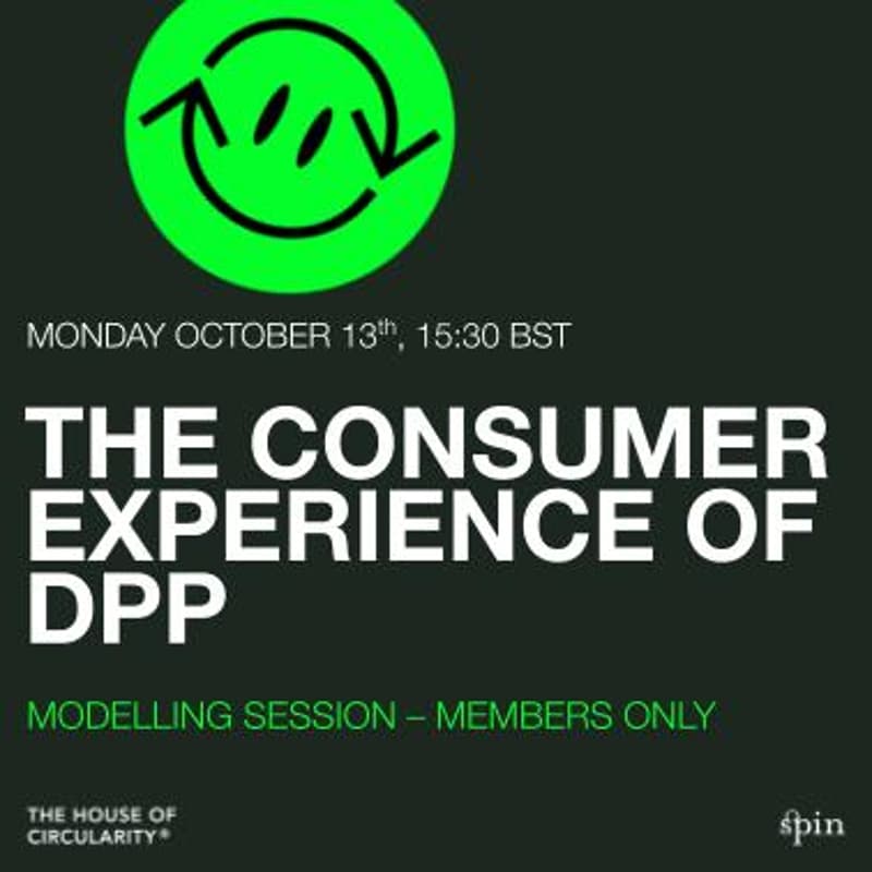 Cover Image for The Consumer Experience of DPP - Modelling