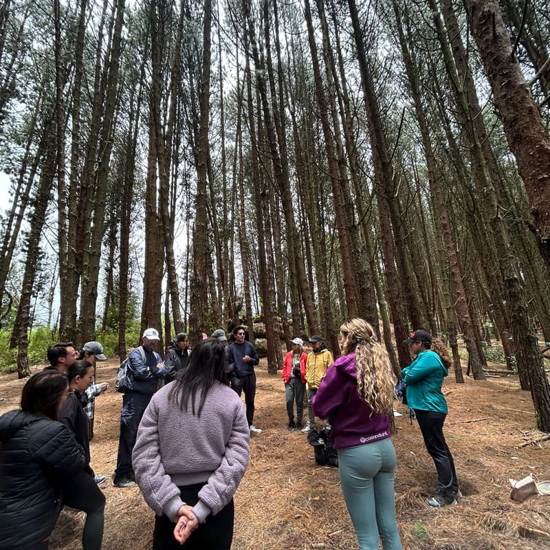 Cover Image for Activa tu Poder en la Montaña🌲🔥