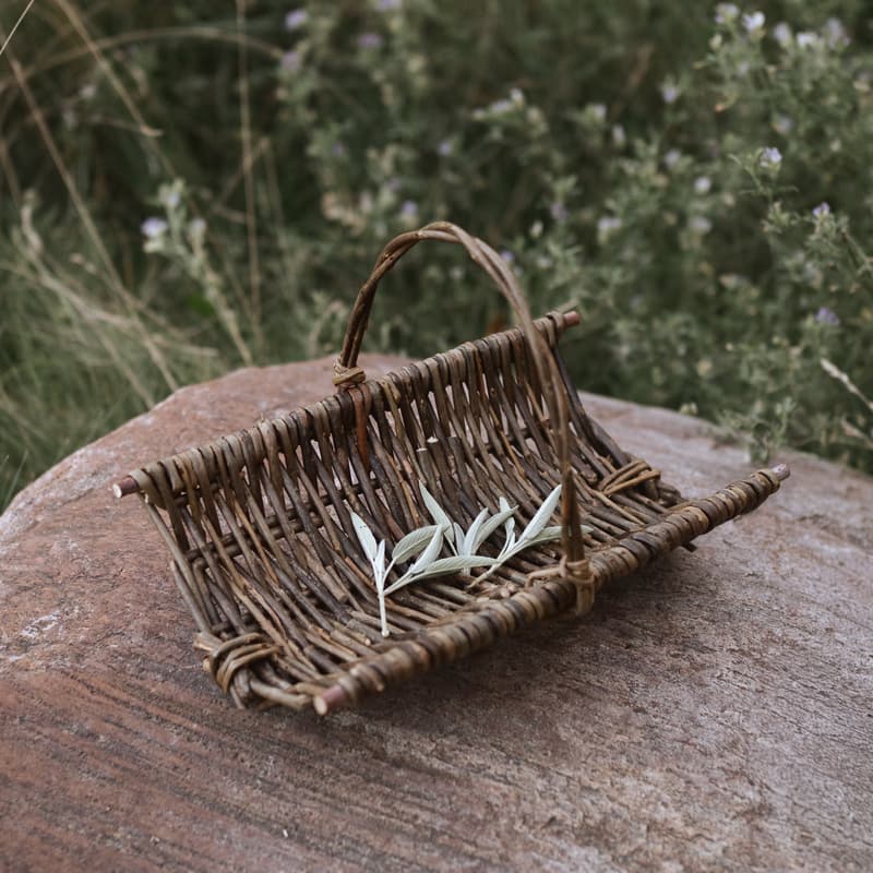 Cover Image for Fireside Basket Weaving