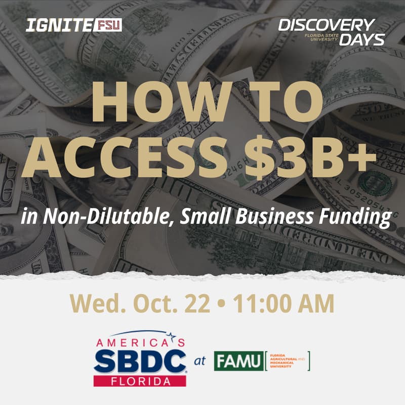 Cover Image for How to Access $3B+ in Non-Dilutable, Small Business Funding