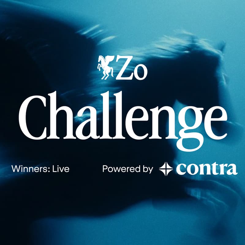 Cover Image for Zo Computer Challenge: Winners Announcement