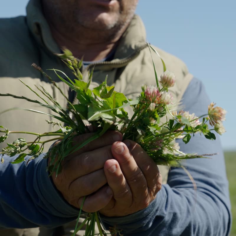 Cover Image for Celebrating Earth Day with POW x Patagonia