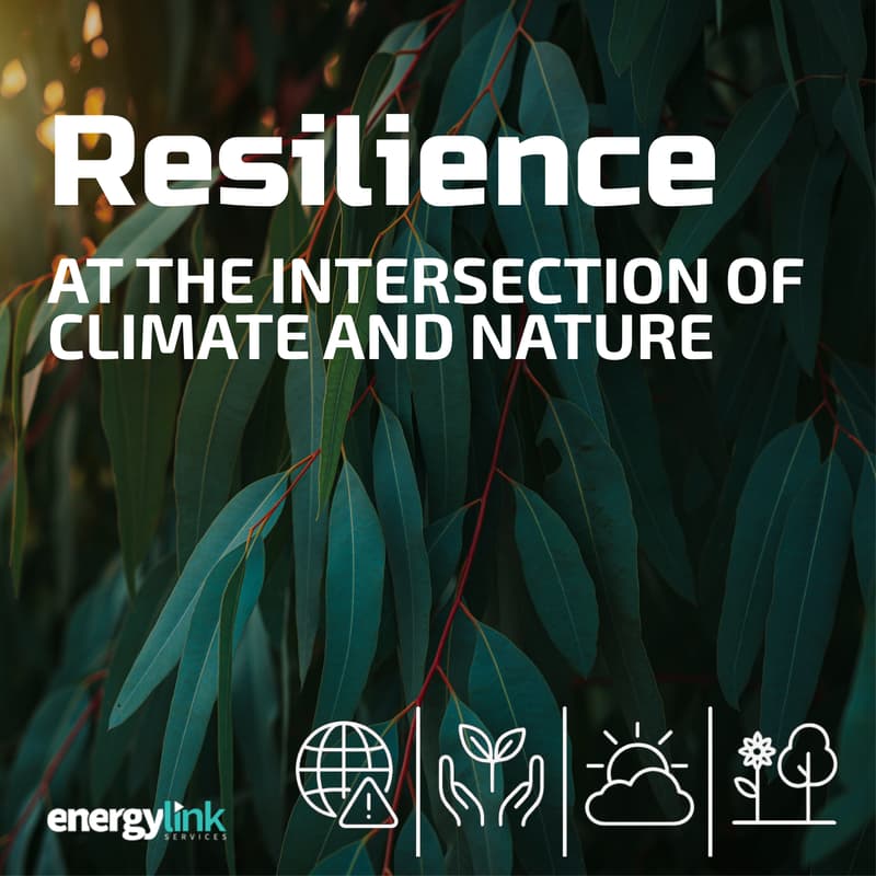 Cover Image for What does it actually look like to build resilience at the intersection of climate and nature?