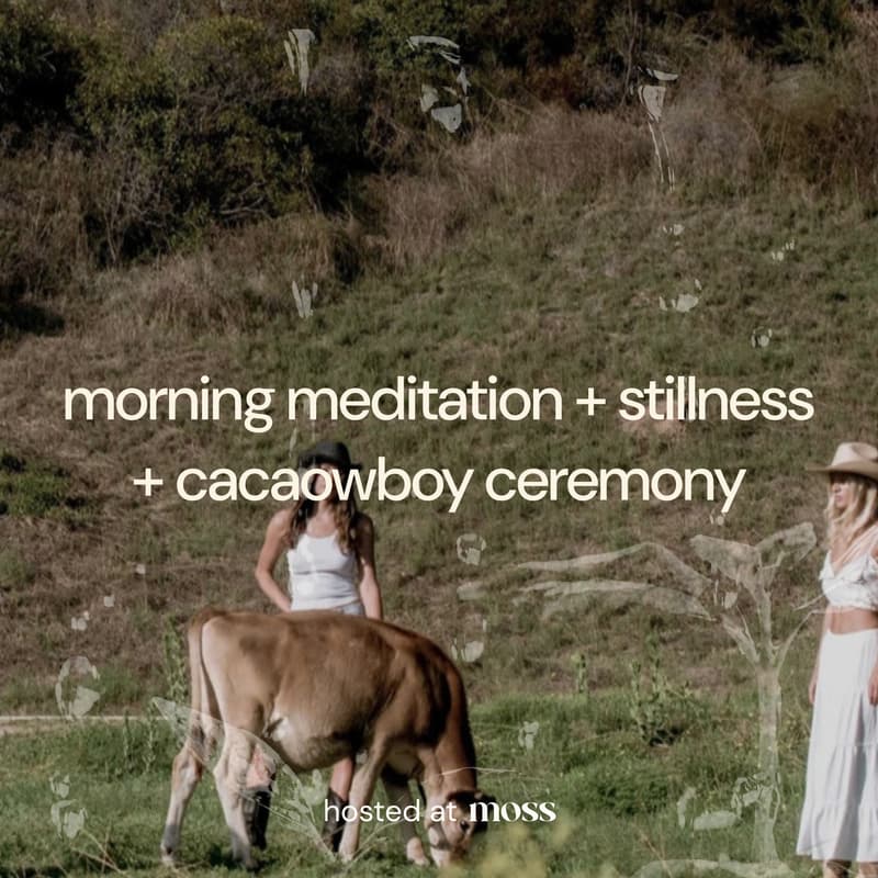 Cover Image for morning meditation + cacaowboy ceremony with cowboy colostrum