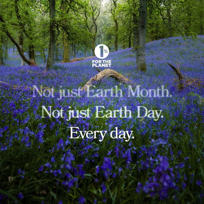 Cover Image for Earth Day - Sister Farm Launch