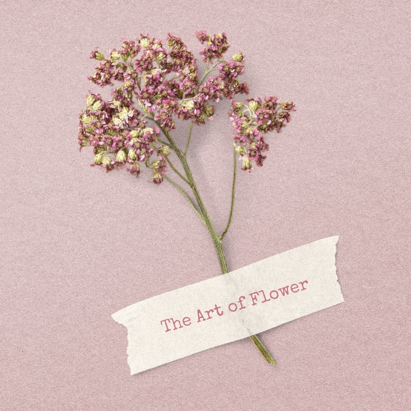 Cover Image for Pressed Flower Class