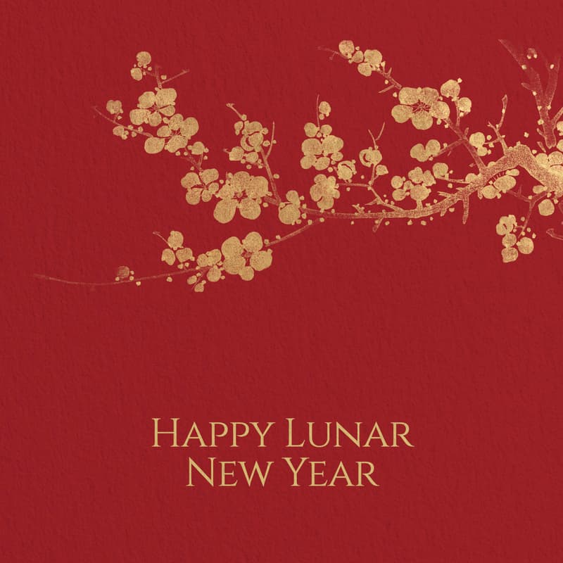 Cover Image for Lunar New Year Potluck + Hardware Hack Night + Fixit Clinic