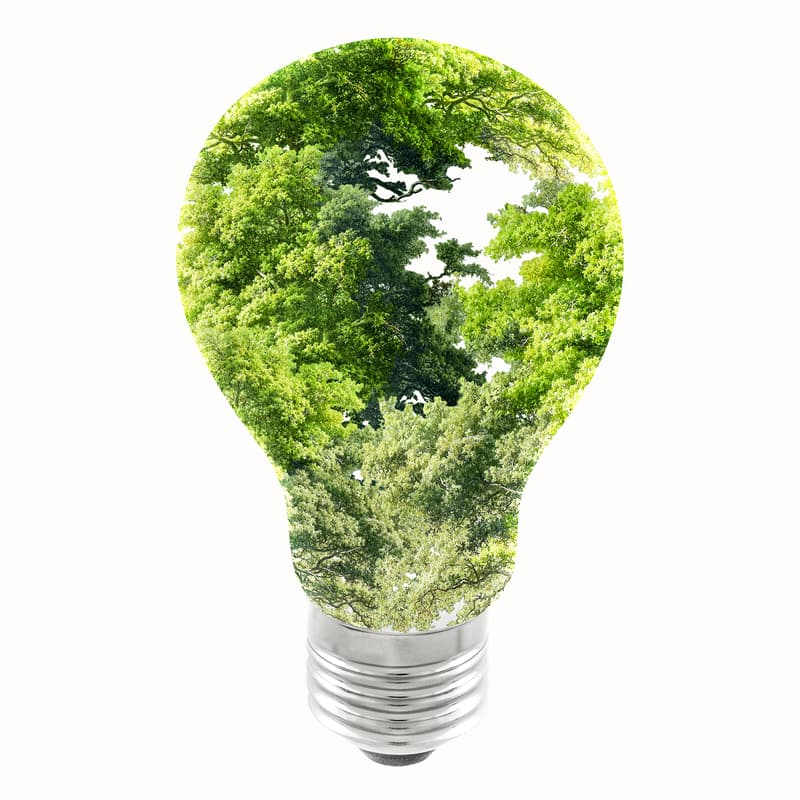 Cover Image for Breathing the Future - Climate, Health, Green Transition and Entrepreneurship
