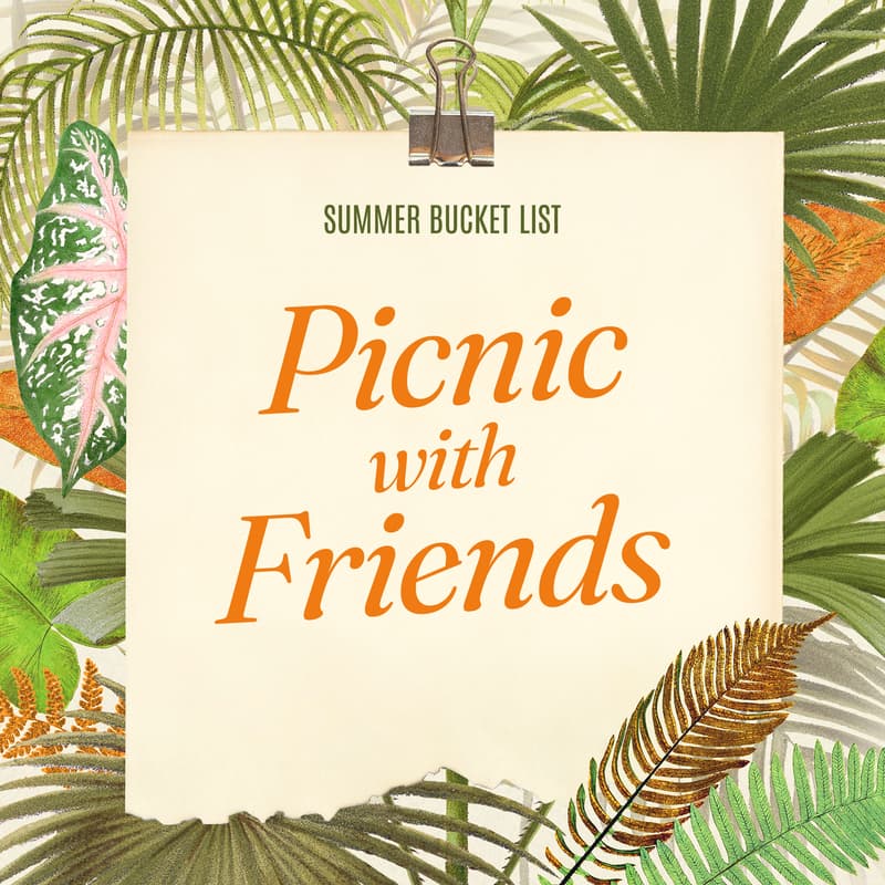 Cover Image for Summer Picnic Potluck