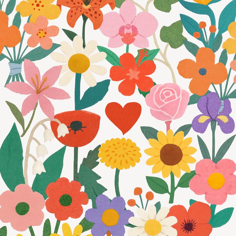 Cover Image for Rencontres Découverte HE