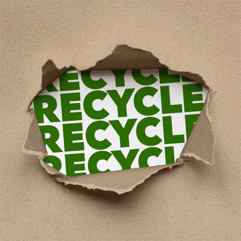 Cover Image for Whose Circular Economy? EPR, Private Sector Accountability, and the Capital Gap at the Heart of the Global South's Waste Revolution