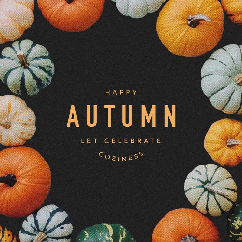 Cover Image for Autumn placemats - a little bit of everyday quilting.