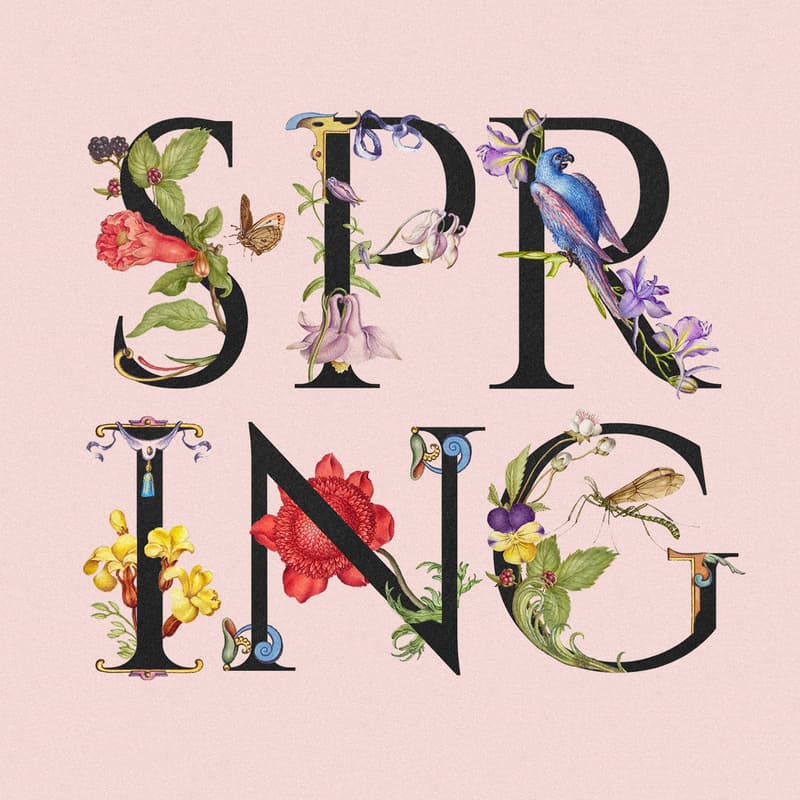 Cover Image for 暗号屋主催お花見