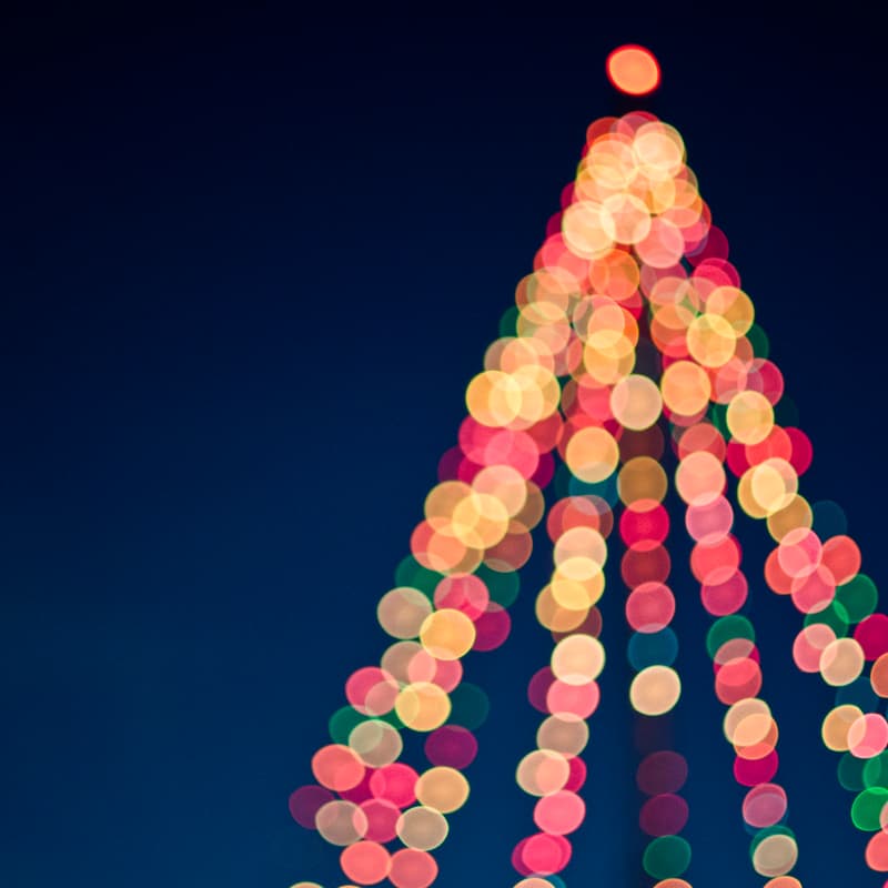 Cover Image for Holiday Lights Walk