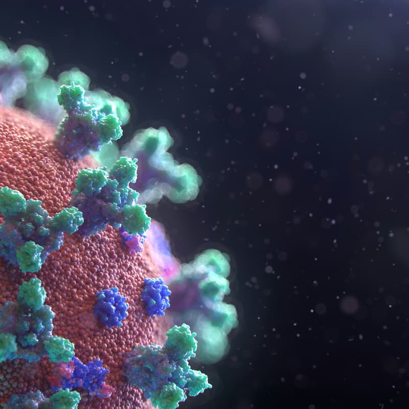 Cover Image for BiTS Biosecurity Webinar