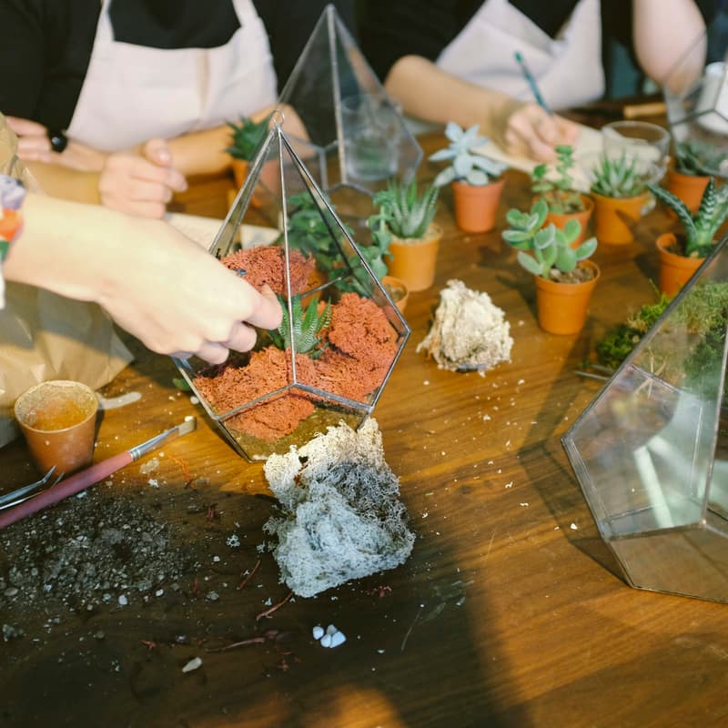 Cover Image for Make Your Own Garden