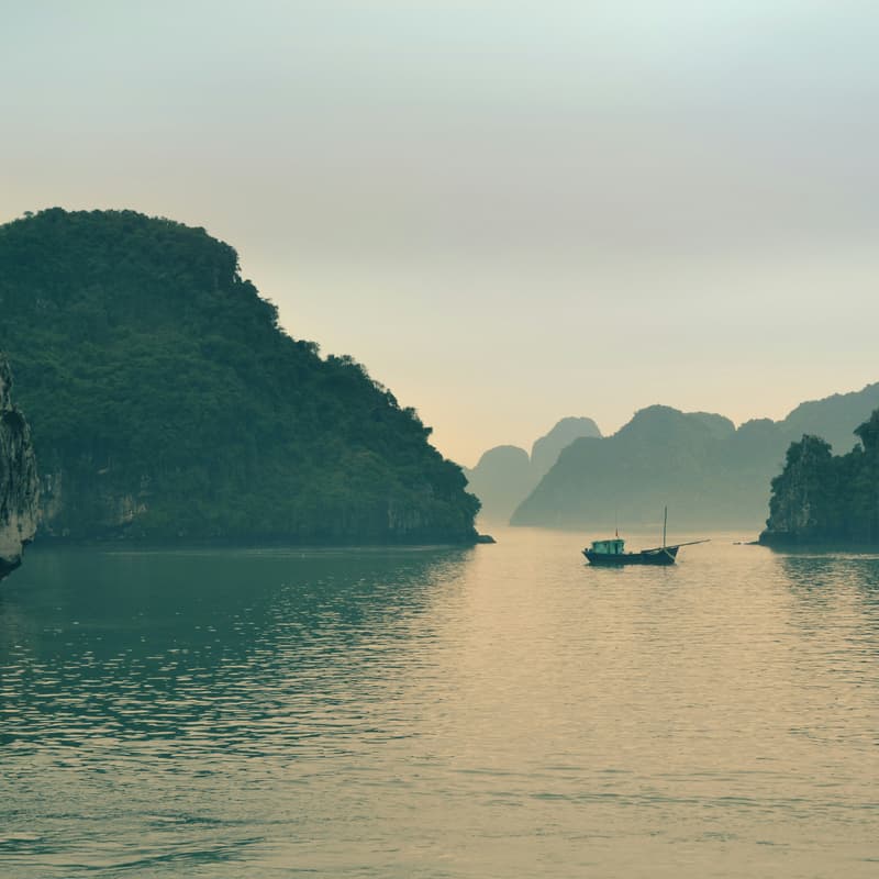 Cover Image for Scent Voyage: Asia