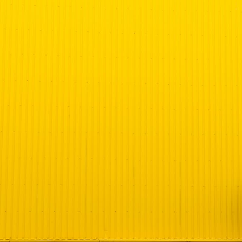 Cover Image for Protect Your Brand