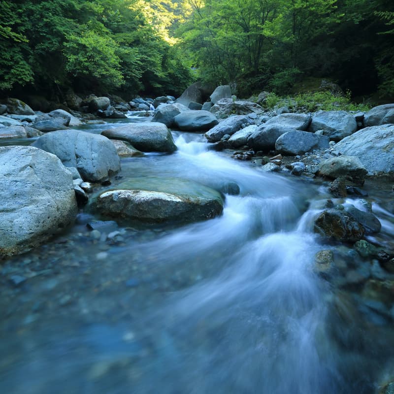 Cover Image for Deeper Waters: A 3-part Vocal River Series