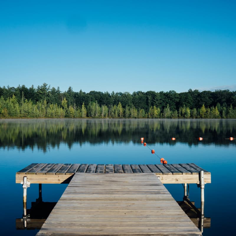 Cover Image for Lake Pulse Networking Reception