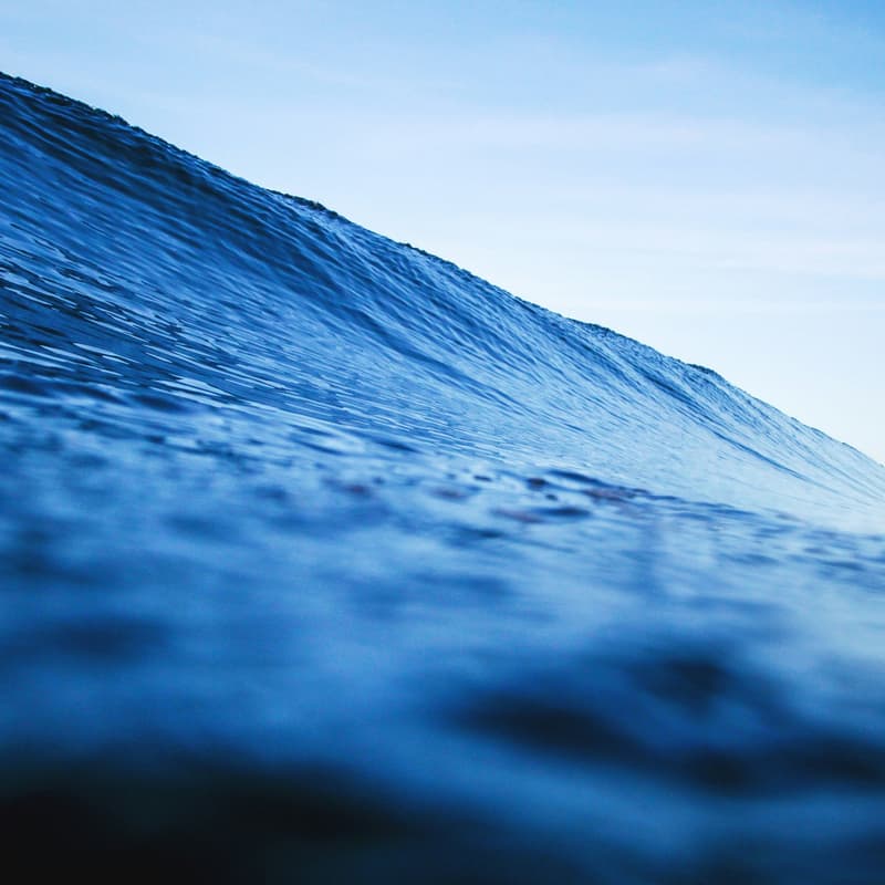 Cover Image for Surf the Hawaii Wave Dual Use Incubator