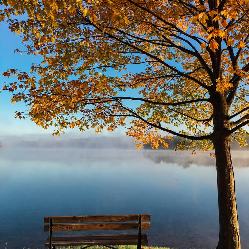 Cover Image for Pause Together October