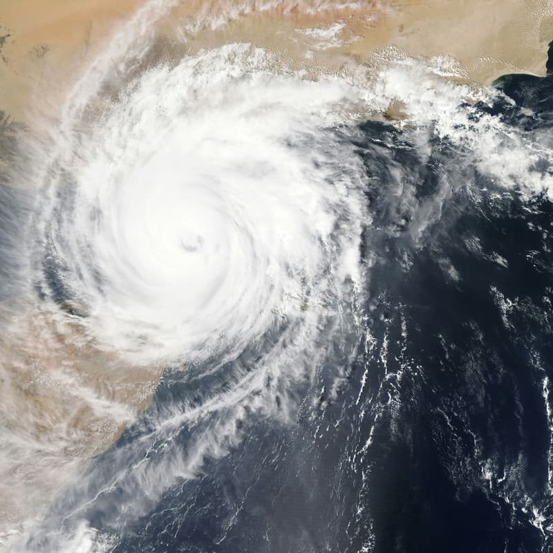 Cover Image for Quiz for the Climate Trivia Night and Networking