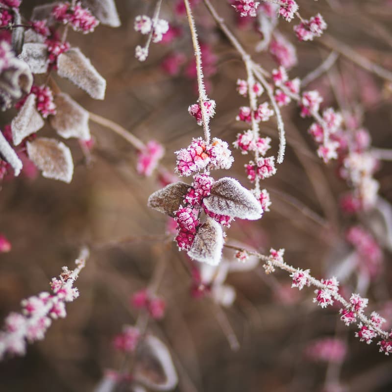 Cover Image for Cork Mindfulness Exploration and Connection Morning