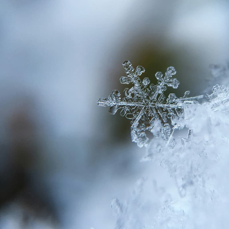 Cover Image for January Reading @ Mercer Island