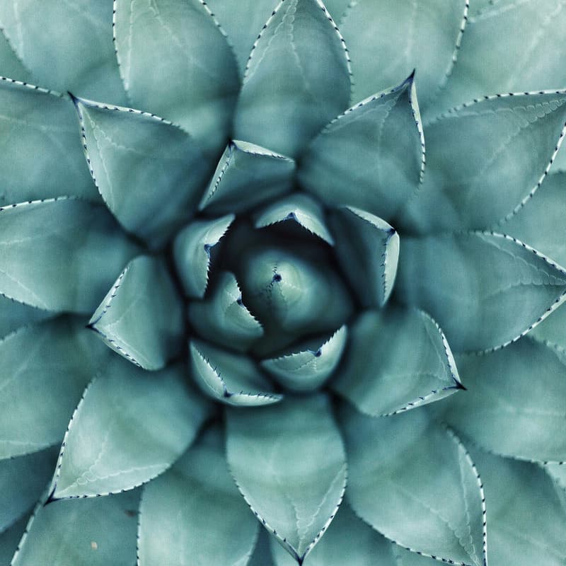 Cover Image for Building a personal spiritual practice with Kōgetsu Jenny Mok (CFO of SF Zen Center) – Part IV