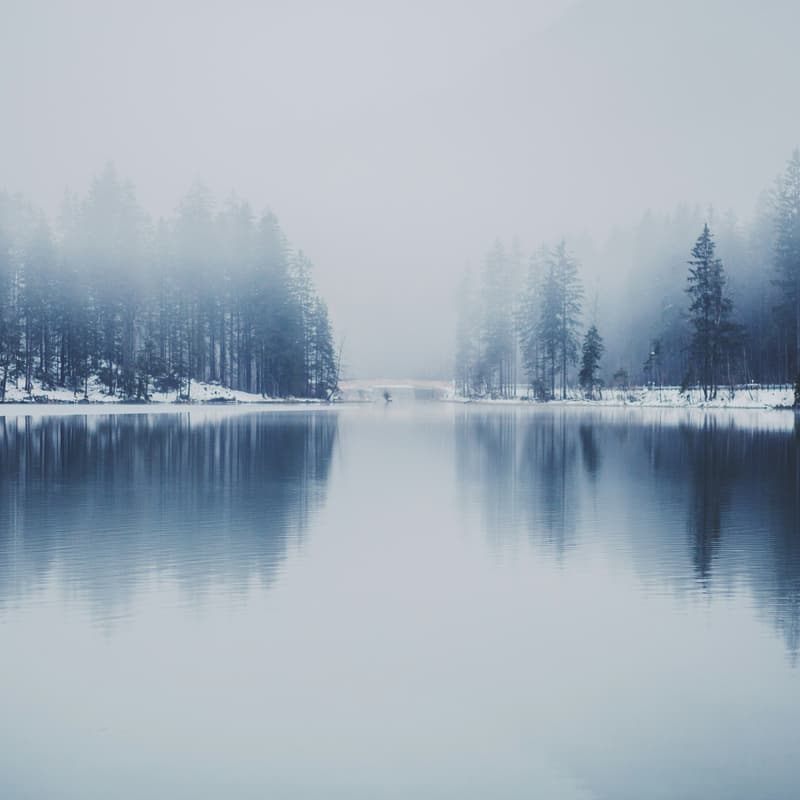 Cover Image for Mindfulness Based Training in Forgiveness (Online)