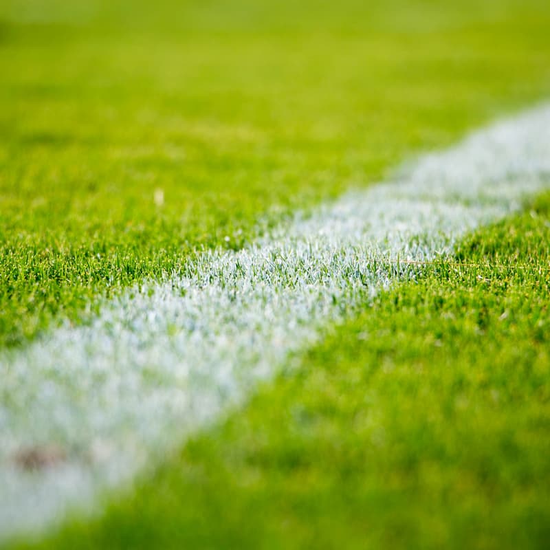 Cover Image for HECW - Sports & Sustainability in Houston: Perspectives on the Power of Sports for Positive Impact