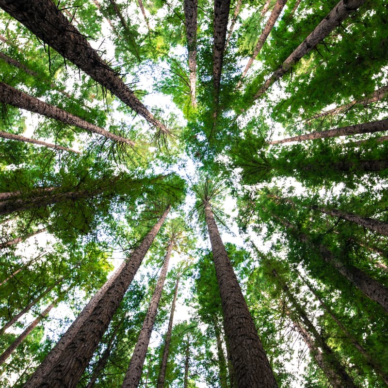 Cover Image for Workshop: Use Design Thinking to Make the Business Case for Investing in Nature