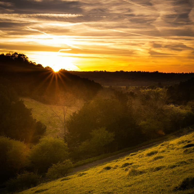 Cover Image for Box Hill hike